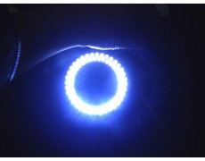 L.E.D