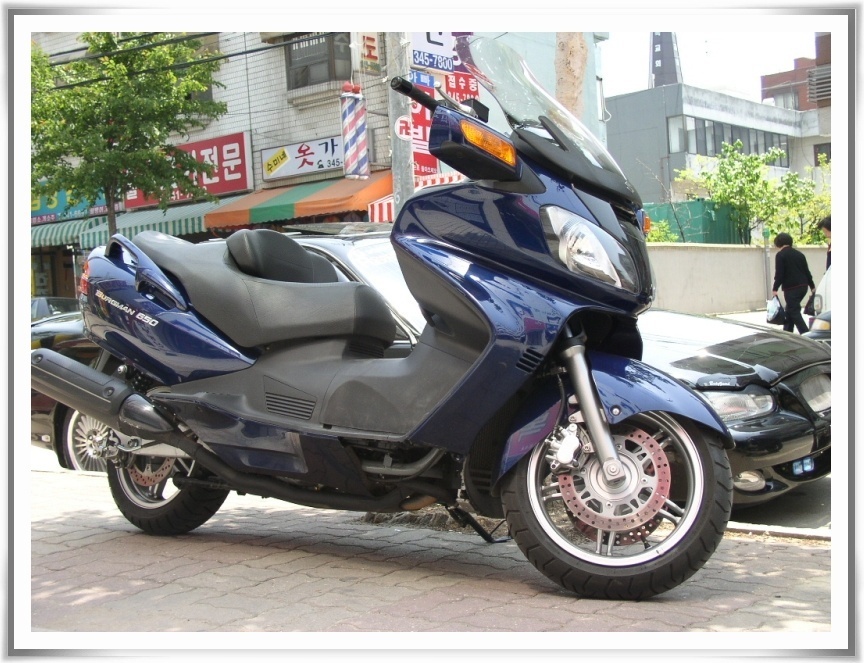 버그만650
