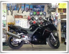 cbr1100xx